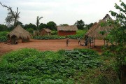 Central African Republic vernacular architecture