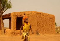 Niger vernacular architecture