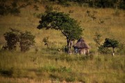 Angola vernacular architecture