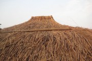 Democratic Republic of the Congo vernacular architecture