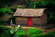 Democratic Republic of the Congo vernacular architecture