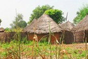 Gambia vernacular architecture