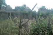 Gambia vernacular architecture