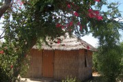 Gambia vernacular architecture