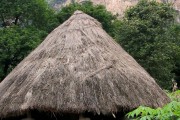 Guinea vernacular architecture