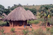 Guinea vernacular architecture