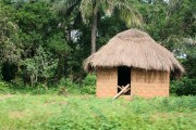 Guinea vernacular architecture