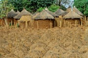 Guinea vernacular architecture