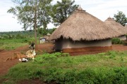 Kenya vernacular architecture