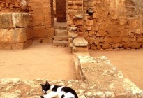 Morocco vernacular architecture