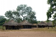 Mozambique vernacular architecture