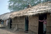 Somalia vernacular architecture