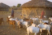 Tanzania vernacular architecture