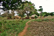 Uganda vernacular architecture