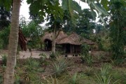 Zimbabwe vernacular architecture