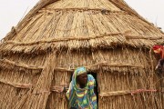 Niger vernacular architecture