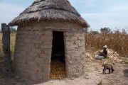 Niger vernacular architecture