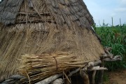 Niger vernacular architecture