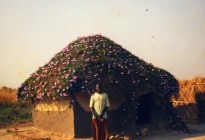 Zambia vernacular architecture