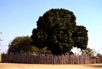 Namibia vernacular architecture