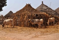 Gambia vernacular architecture