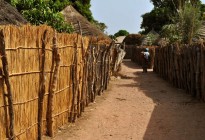 Gambia vernacular architecture