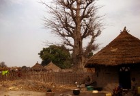 Gambia vernacular architecture