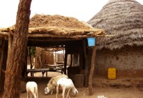 Gambia vernacular architecture