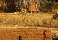 Niger vernacular architecture