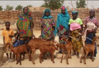 Niger vernacular architecture