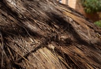 Namibia vernacular architecture