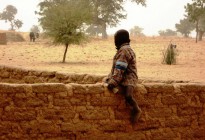 Niger vernacular architecture