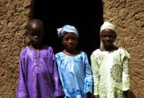 Niger vernacular architecture