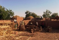 Niger vernacular architecture