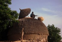 Niger vernacular architecture