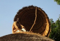 Niger vernacular architecture