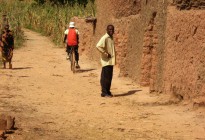 Niger vernacular architecture