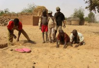 Niger vernacular architecture