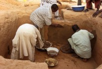 Niger vernacular architecture