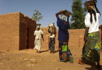 Niger vernacular architecture