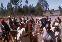 Ethiopia vernacular architecture