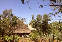 Ethiopia vernacular architecture