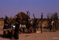 Botswana vernacular architecture