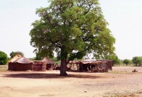 Cameroon vernacular architecture