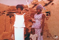 Niger vernacular architecture