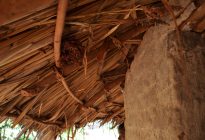 Uganda vernacular architecture